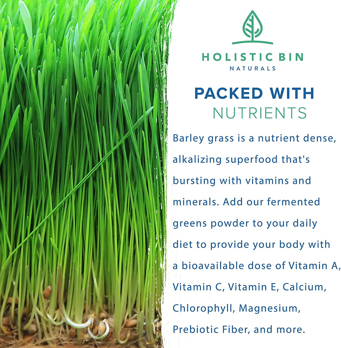 Pure Organic Barley Grass Juice Powder