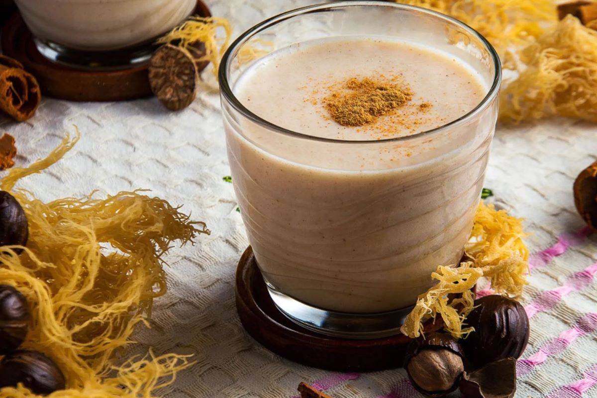 5 Shocking Reasons Red Marine Algae Supplements Are Changing Health Forever