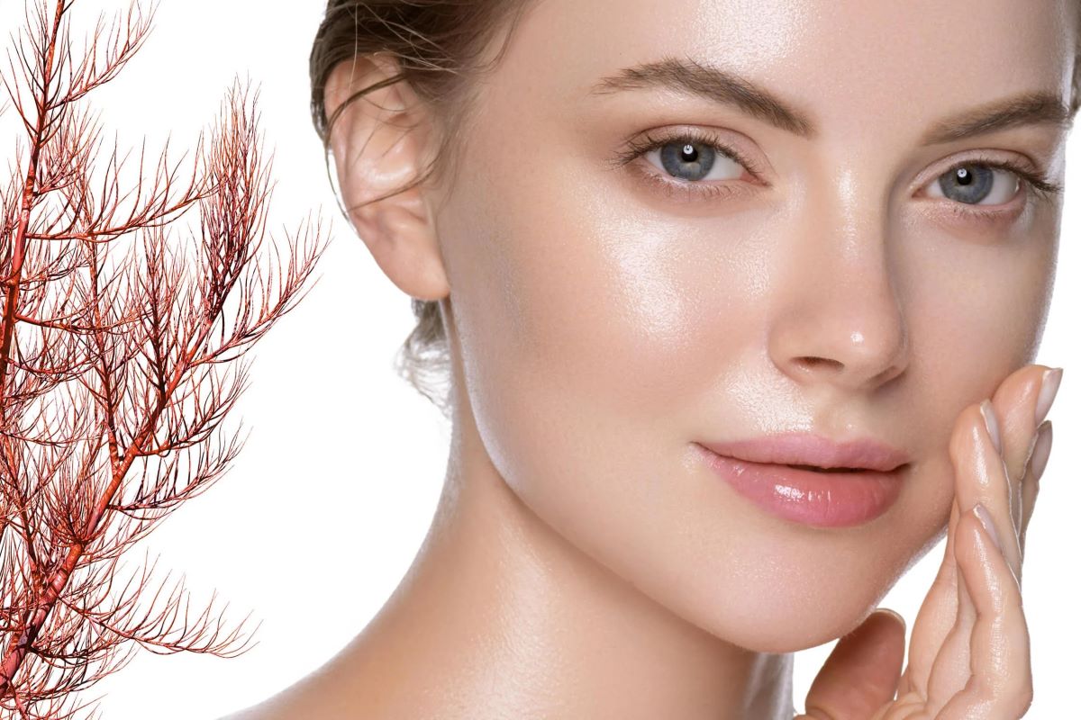 A Natural, Sustainable Protein Source You Need to Try: Pure Planet Red Marine Algae