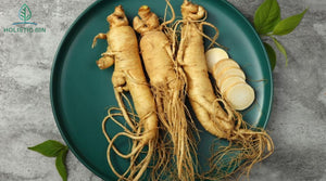 Korean Red Ginseng: The All-Healing Supplemental Herb You Need