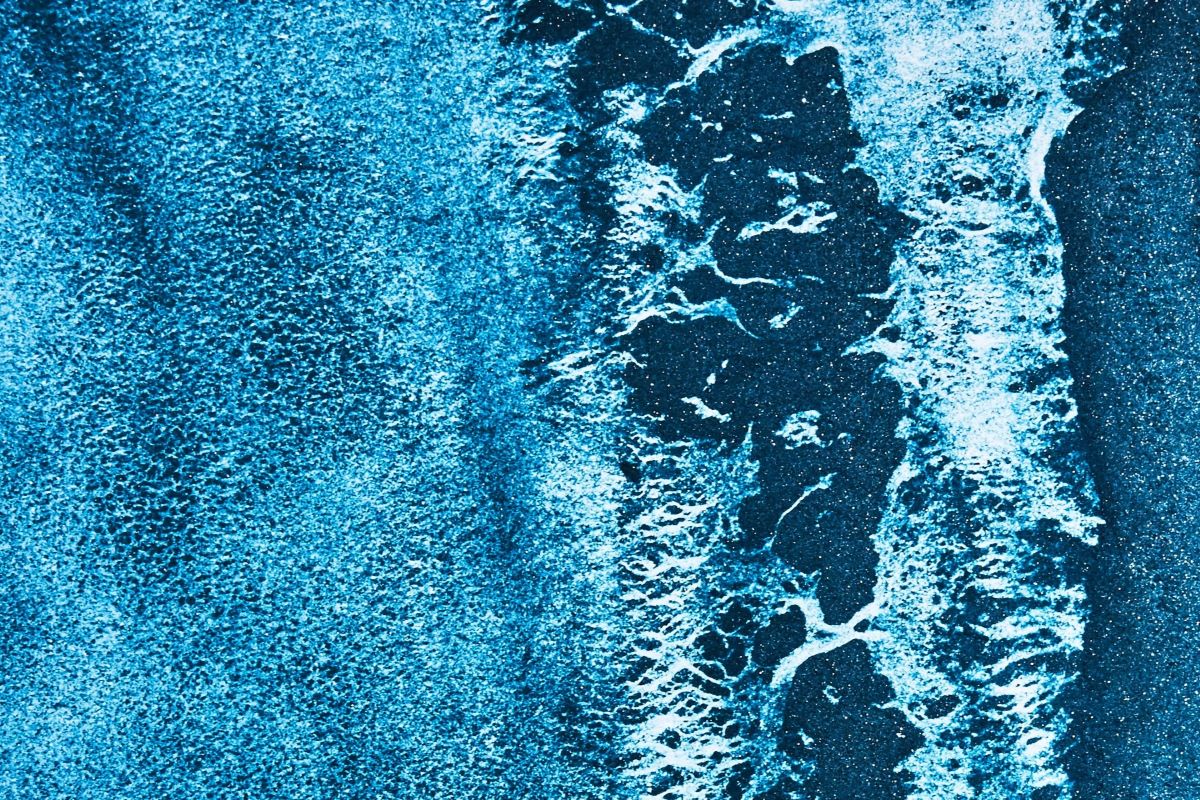 Blue Spirulina Powder Nearby: What is the Different with Regular Spirulina