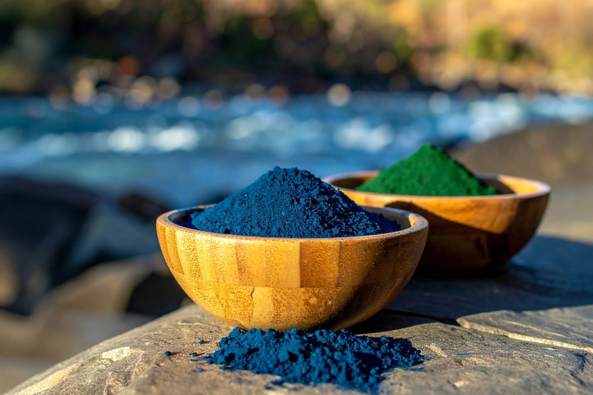 Buy Blue Spirulina Powder: Green vs. Blue Spirulina, Which One is Right for You?