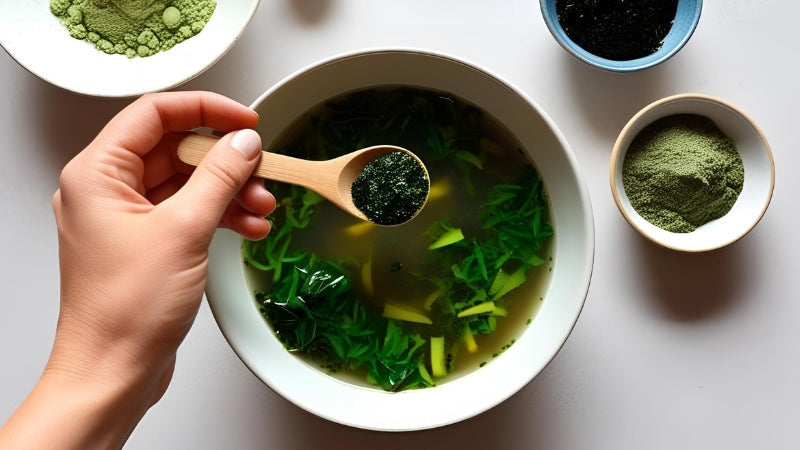 Plant-Based Protein from the Sea: Why Algae is Amazing