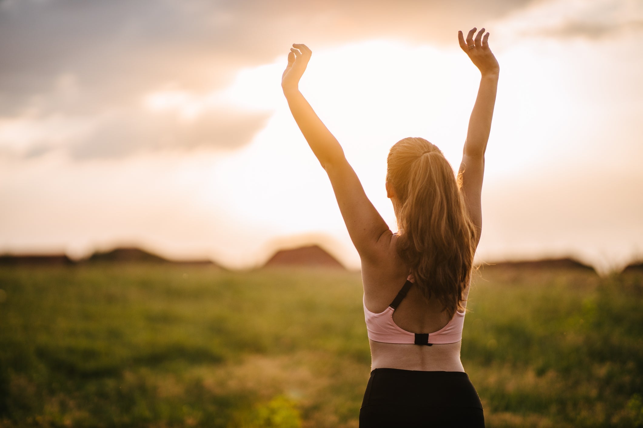 Seaweed Supplement Benefits for Comprehensive Health Support