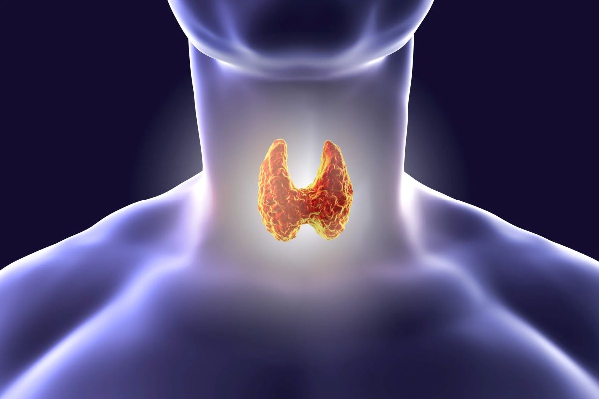 Seaweed Supplement and Iodine: Protects Thyroid and Supports Metabolism