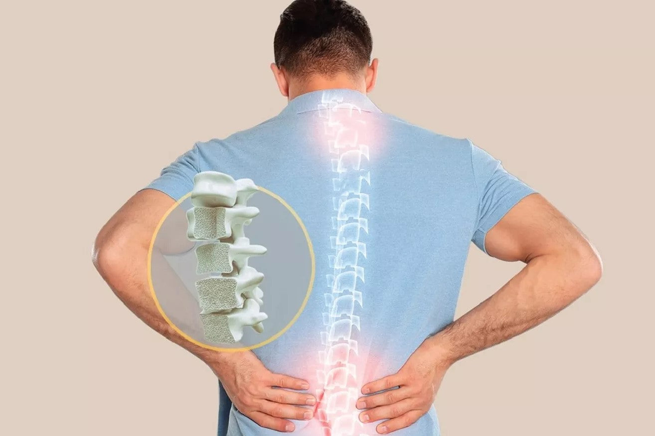 Understanding the Bone Health Benefits of Red Marine Algae Supplement