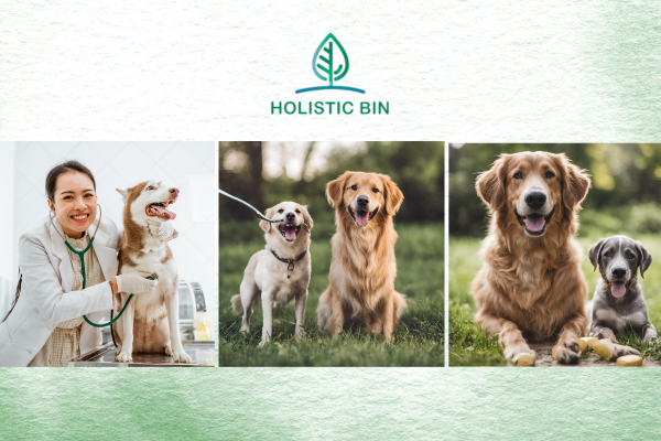 Specific Dog Supplements Help Prevent Dog Health Problems