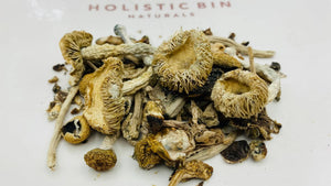 The World of Microdosing: How Psilocybin & Mushrooms Can Enhance Your Well-Being