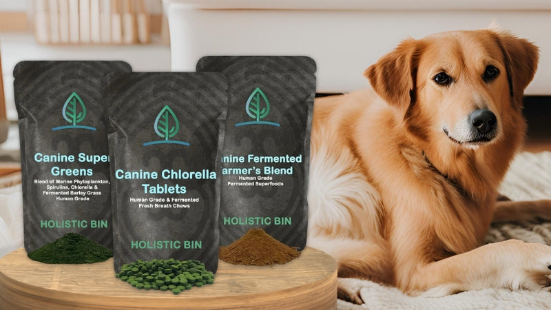 natural supplements for dogs
