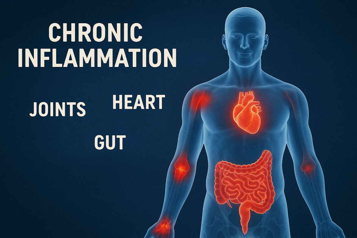chronic inflammation zones on body illustration