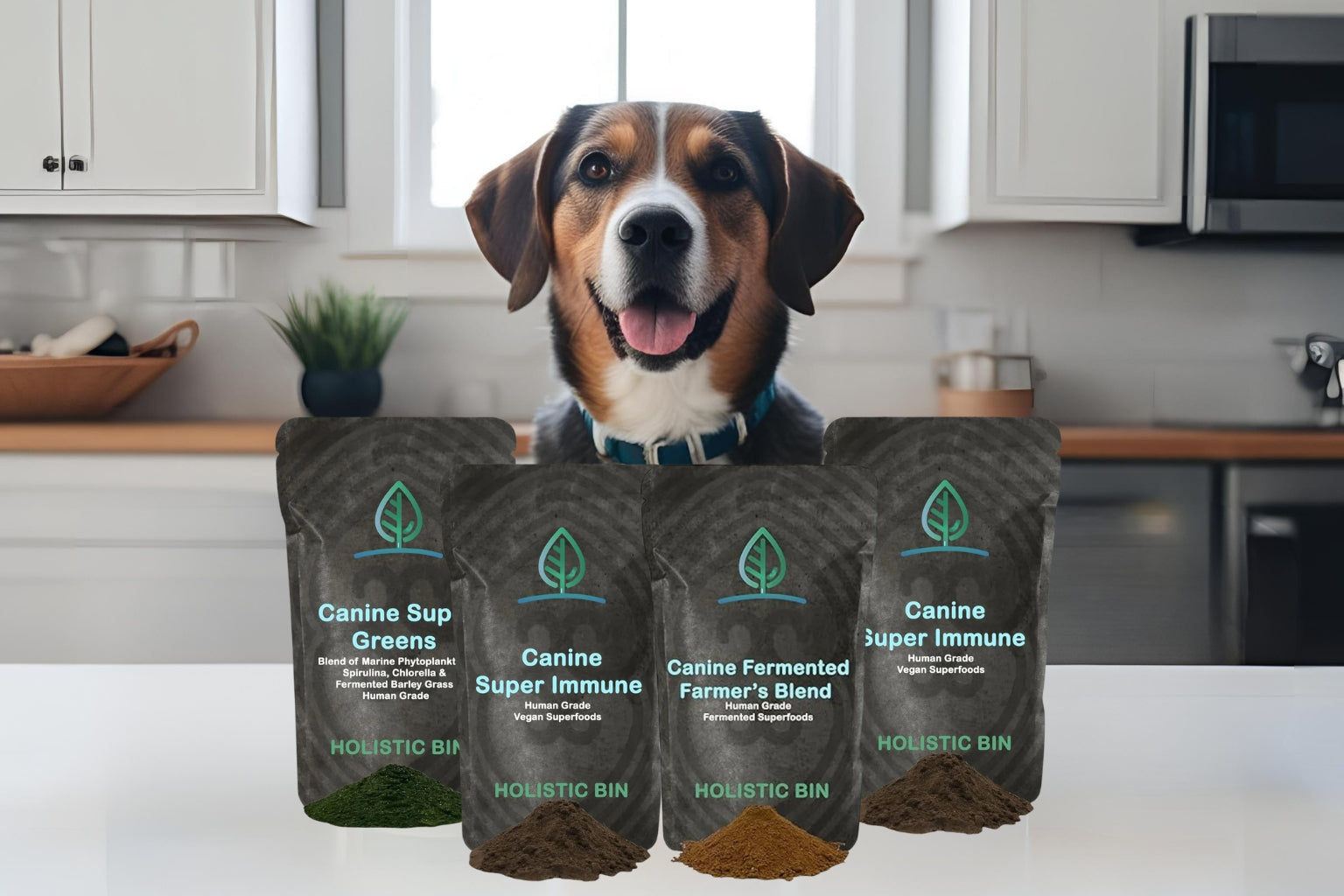How To Integrate Canine Supplements into Your Dog’s Daily Routine