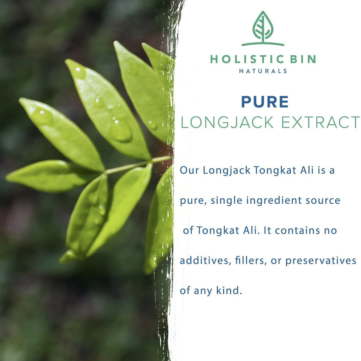 Holistic Bin Indonesian Tongkat Ali Capsules | Wild Harvested Eurycoma Longifolia Roots from Sumatra | No Fillers, 100% Pure (30 Day Supply)