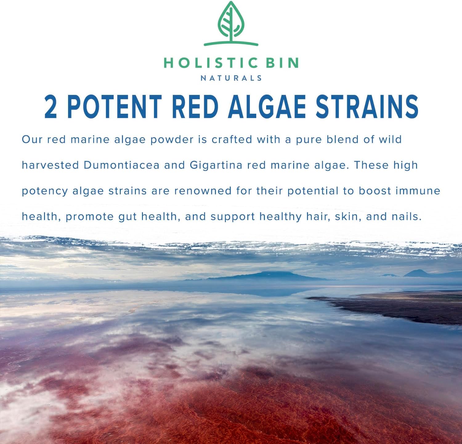 Red Marine Algae (Gigartina and Dumontiacea) Powder - 30 Gram