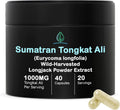 Holistic Bin Indonesian Tongkat Ali Capsules | Wild Harvested Eurycoma Longifolia Roots from Sumatra | No Fillers, 100% Pure (30 Day Supply)