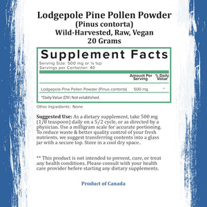 Wild-Harvested Canadian Lodgepole/Ponderosa/California Ghost Pine Pollen Powder - 20 g