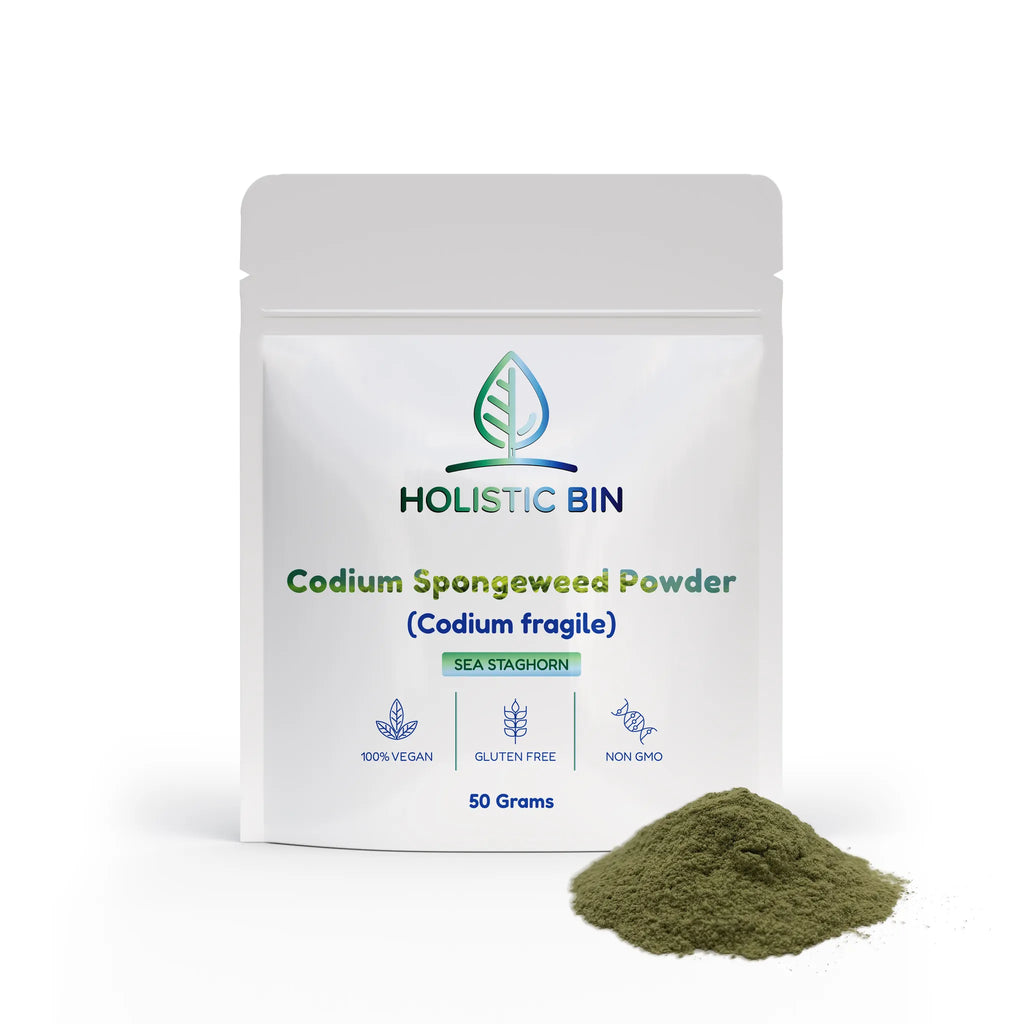 Codium Spongeweed Powder (Codium fragile) | Raw Sea Staghorn Green Marine Algae | Vegan Ocean Superfood | Non-GMO, Gluten-Free | No Fillers or Additives | 50g (50 Servings)