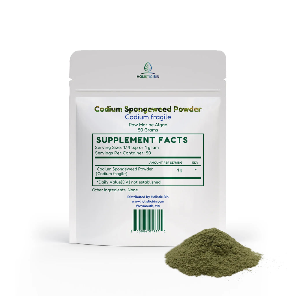 Codium Spongeweed Powder (Codium fragile) | Raw Sea Staghorn Green Marine Algae | Vegan Ocean Superfood | Non-GMO, Gluten-Free | No Fillers or Additives | 50g (50 Servings)