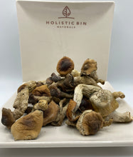 Load image into Gallery viewer, Gypsy Pine Chaga Mushroom Tincture