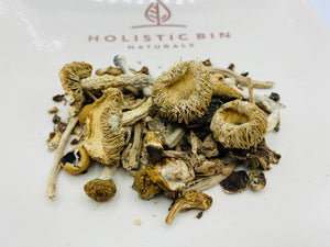 Gypsy Pine Chaga Mushroom Tincture