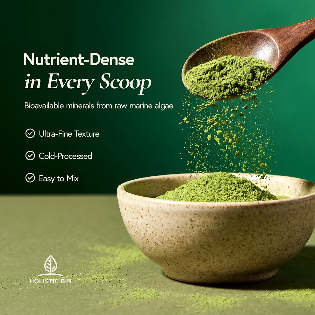 Codium Spongeweed Powder (Codium fragile)