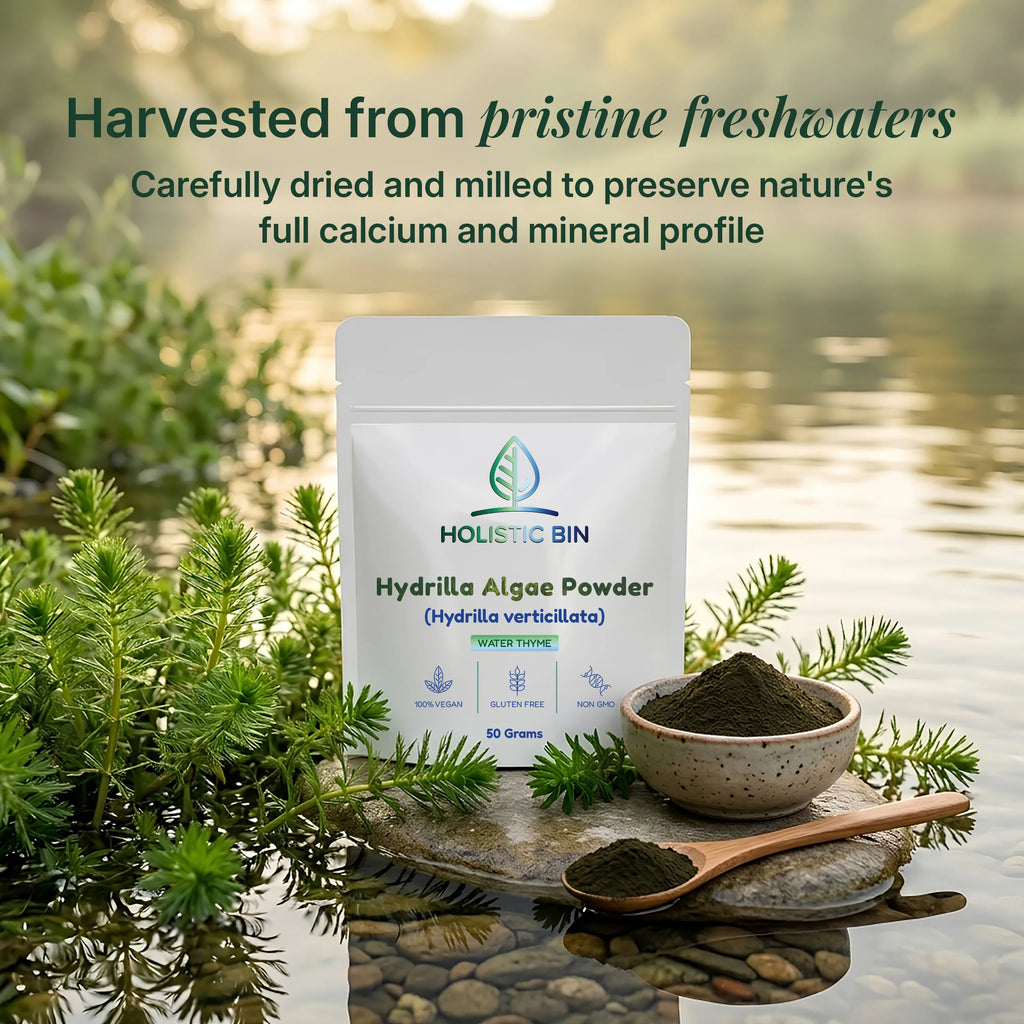 Hydrilla Algae Powder