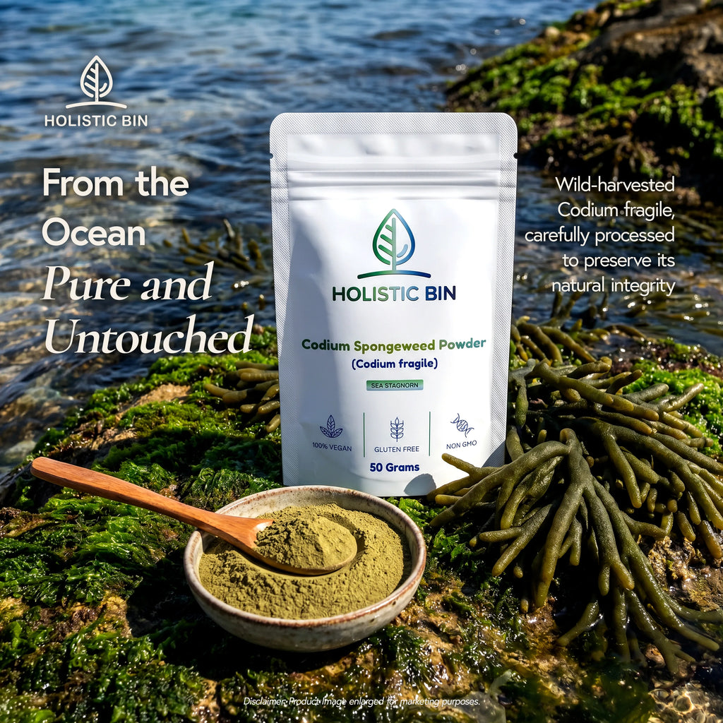 Codium Spongeweed Powder (Codium fragile)