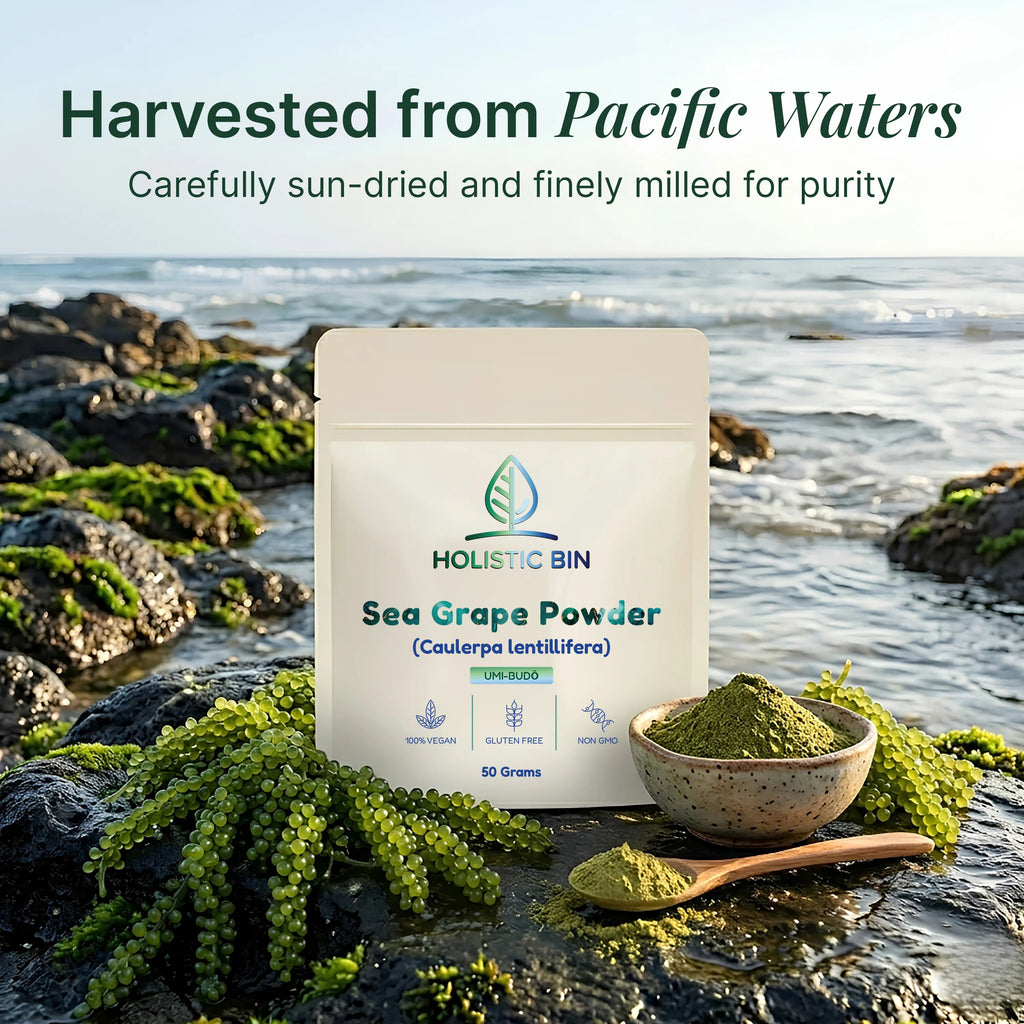 Sea Grapes Powder