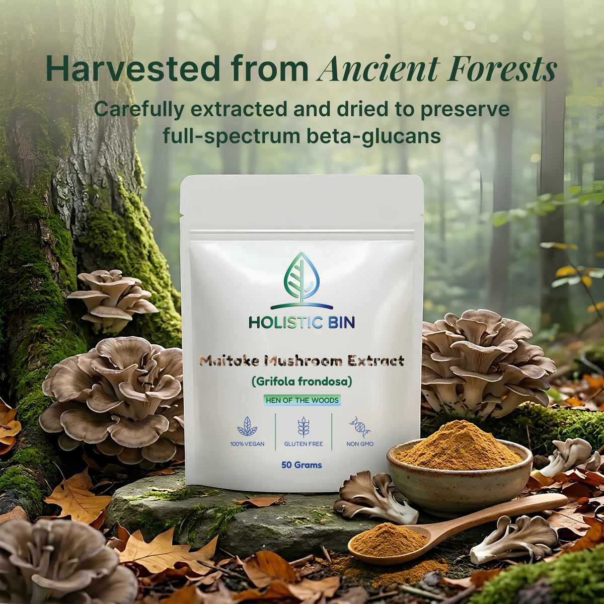 Maitake Mushroom Extract Powder