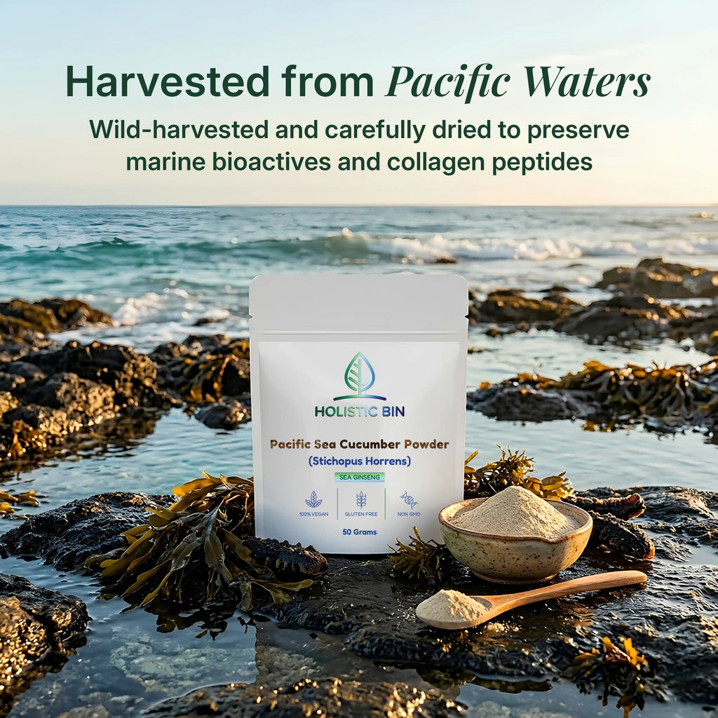 Pacific Sea Cucumber Powder