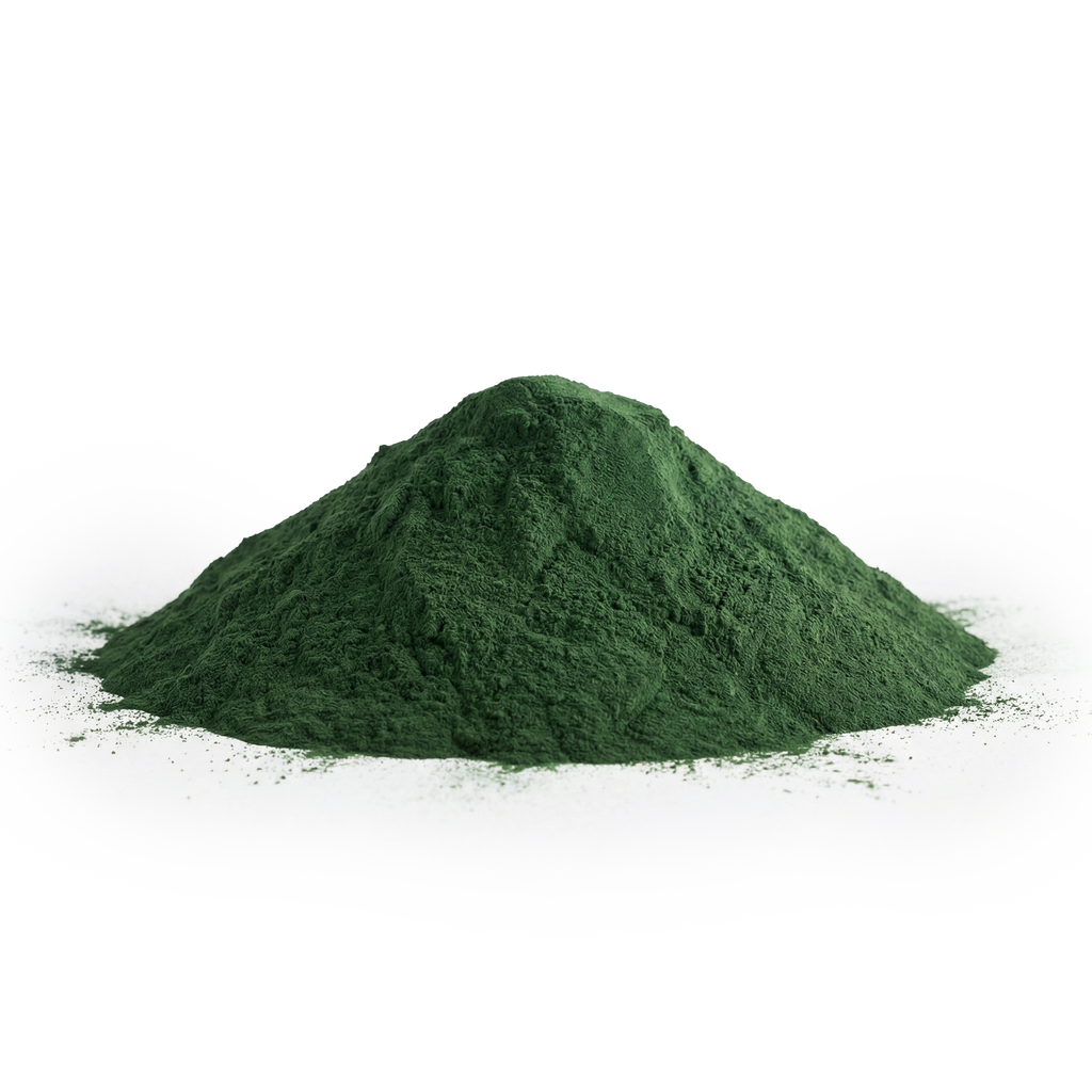 Holistic Bin Marine Phytoplankton Powder 50 grams freeze-dried Nannochloropsis gaditana microalgae powder pouch