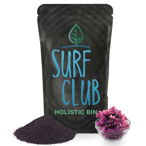 Celtic Sea Moss Chondrus Crispus powder in 30 gram pouch made from wild harvested Nordic Atlantic seaweed