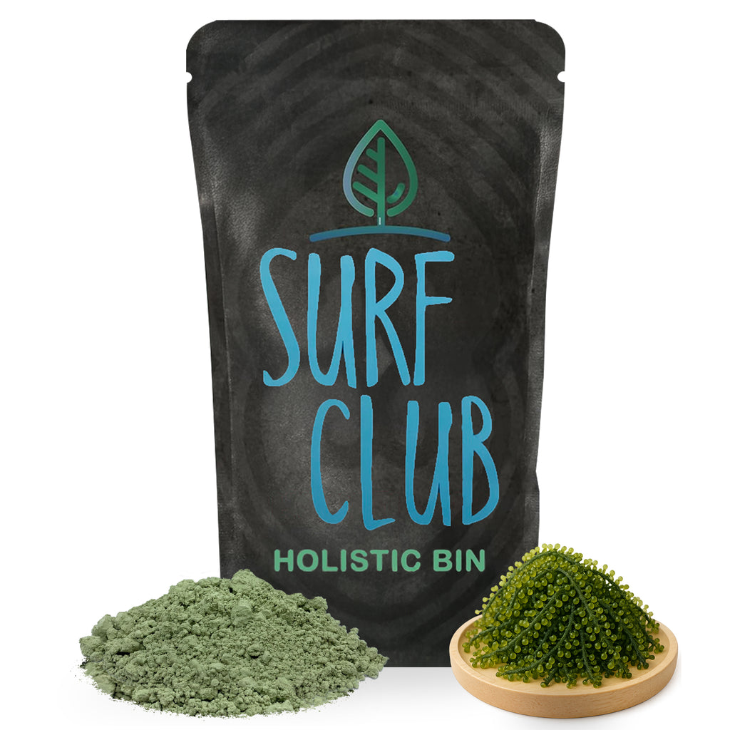 Holistic Bin Sea Grape Powder Caulerpa lentillifera 30 grams JAS Organic Okinawan seaweed powder pouch