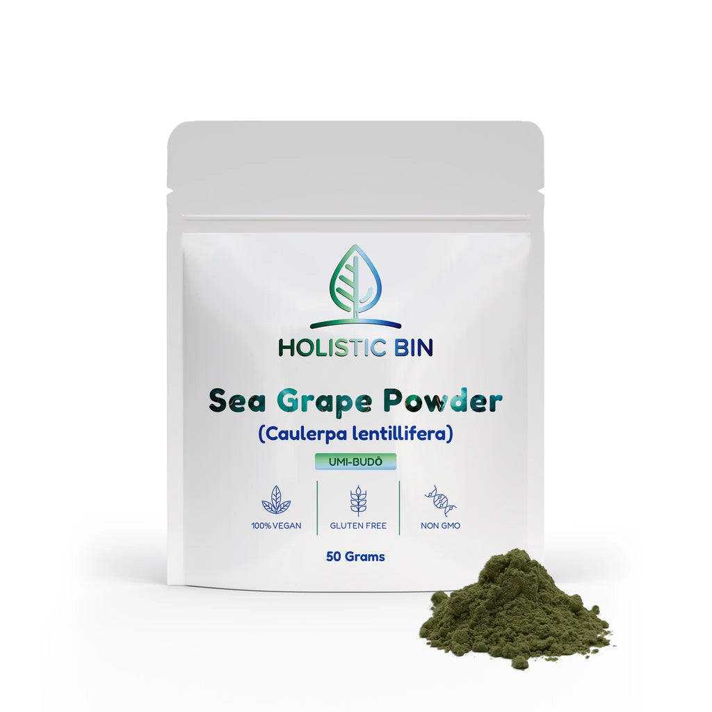 Holistic Bin Sea Grape Powder (Caulerpa lentillifera) | Raw Marine Algae Superfood | Umi-Budō, Green Caviar & Lato | Vegan, Gluten-Free, Non-GMO | 50g