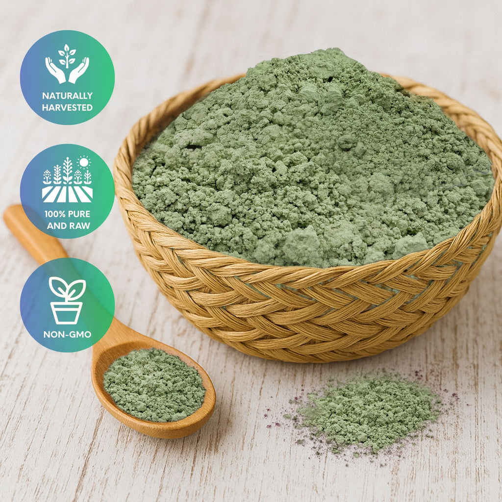 Front view of Holistic Bin Okinawan Sea Grape Powder umi-budo raw seaweed powder 120 mesh 30 grams