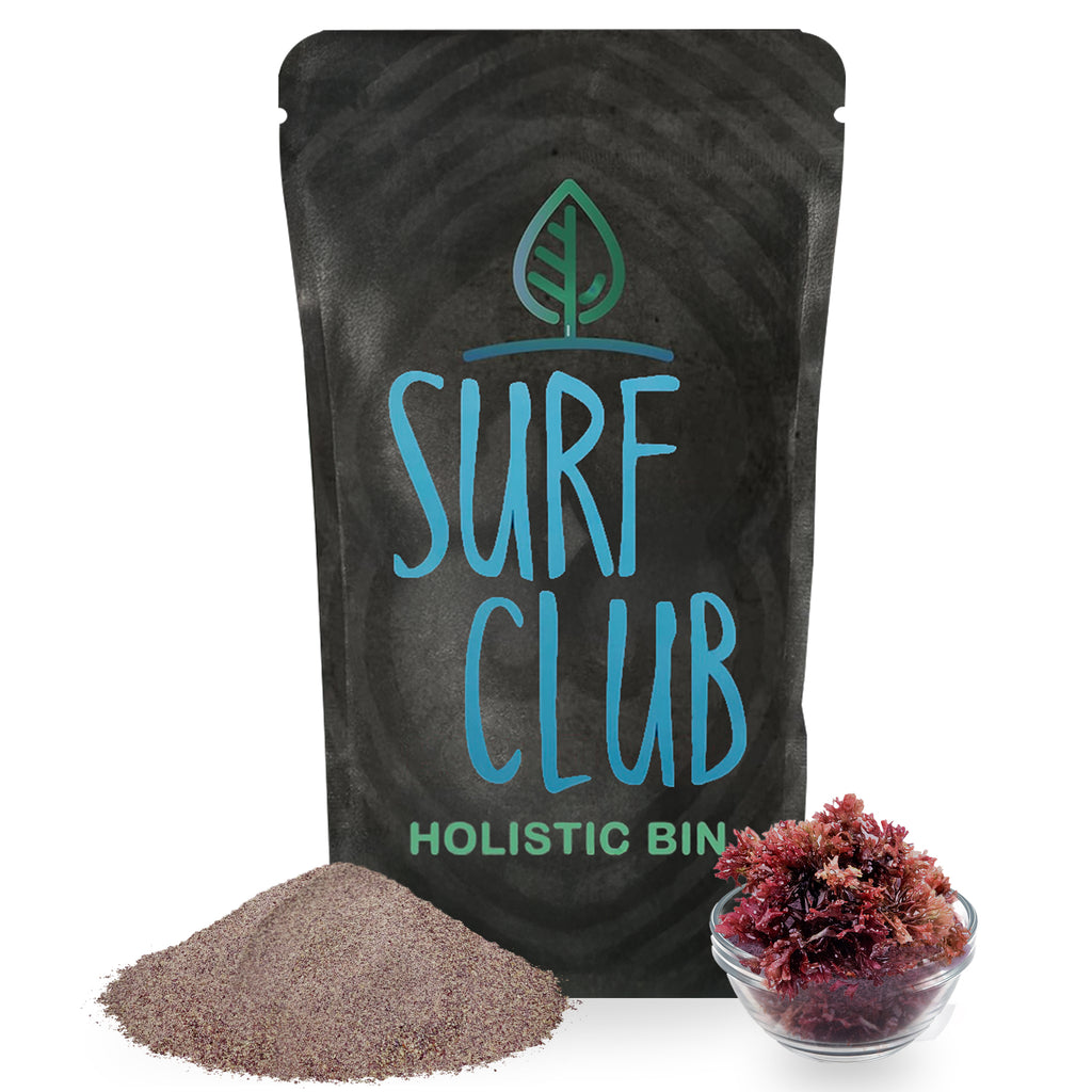 Holistic Bin Caribbean Red Sea Moss Powder Gelidium serrulatum wild harvested from Trinidad 30 grams