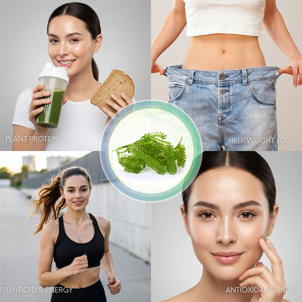 Holistic Bin Caulerpa lentillifera powder from Okinawa Japan premium pantry seaweed powder in 30 gram pouch