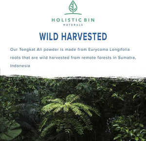 Indonesian Tongkat Ali Capsules - Wild Harvested Eurycoma Longifolia Roots from Sumatra (30 Day Supply)