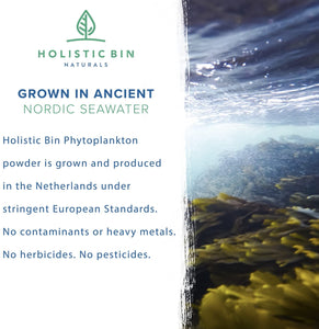 Marine Phytoplankton Powder (50 gr) - Product of Netherlands