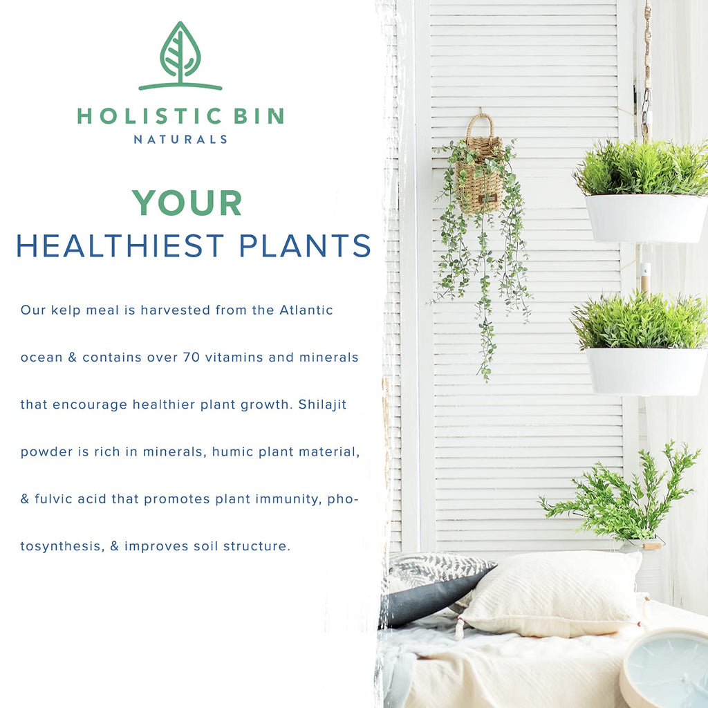 Wild-Crafted Veganic Pure Kelp Fertilizer - 3 Ounces