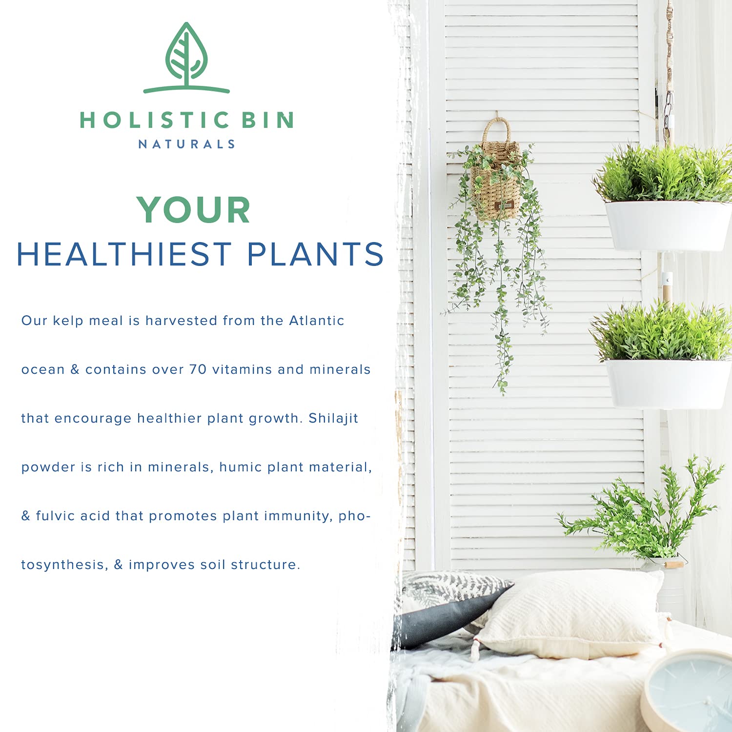 Wild-Crafted Veganic Pure Kelp Fertilizer - 3 Ounces