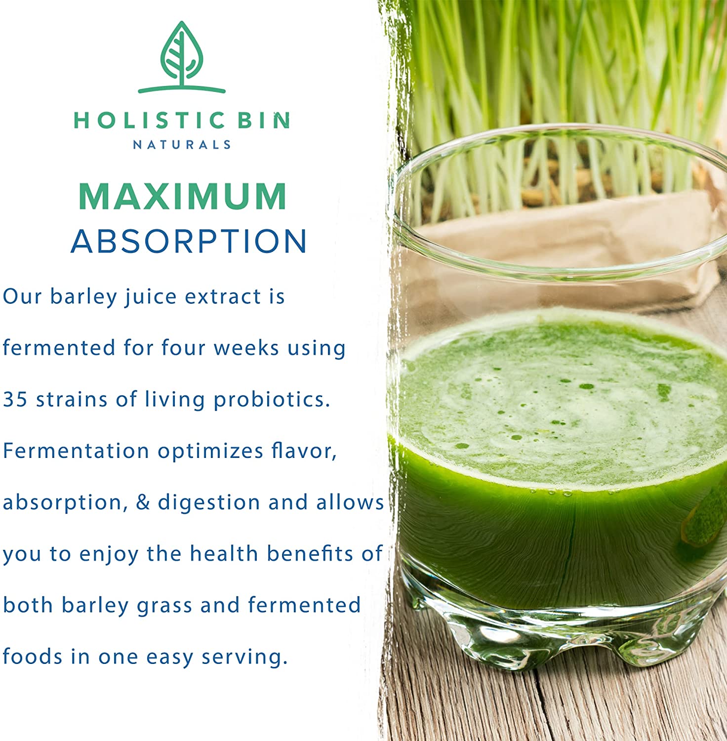 Pure Barley Grass Juice Powder - 50 Grams