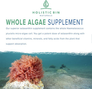 Organic Astaxanthin (5%) Powder  Haematococcus Pluvialis Algae Supplement (20 Grams)