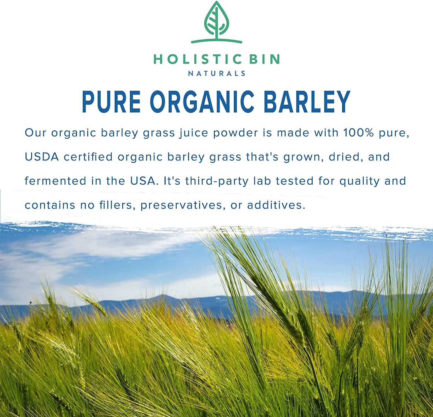 Pure Barley Grass Juice Powder - 50 Grams