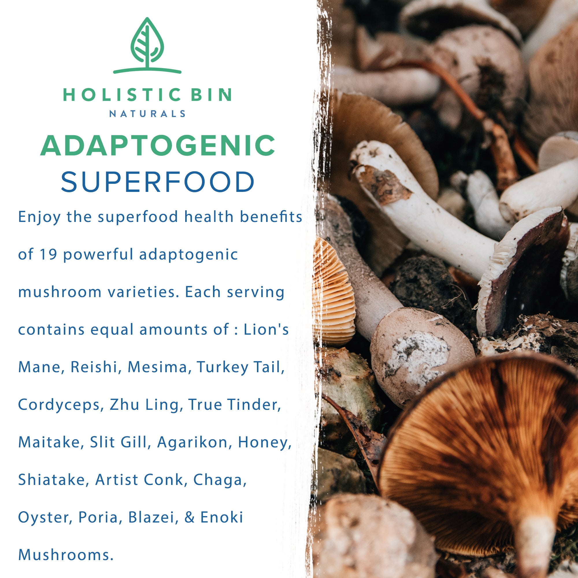 Pacific North West Blend Mushroom Powder - 50 Grams