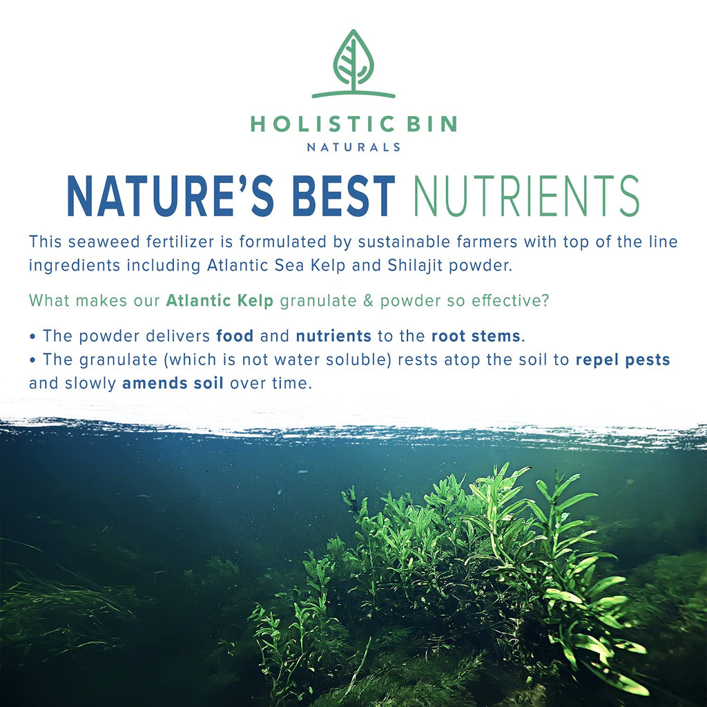 Holistic Bin veganic kelp fertilizer powder blended for natural plant nutrition and mineral-rich garden support