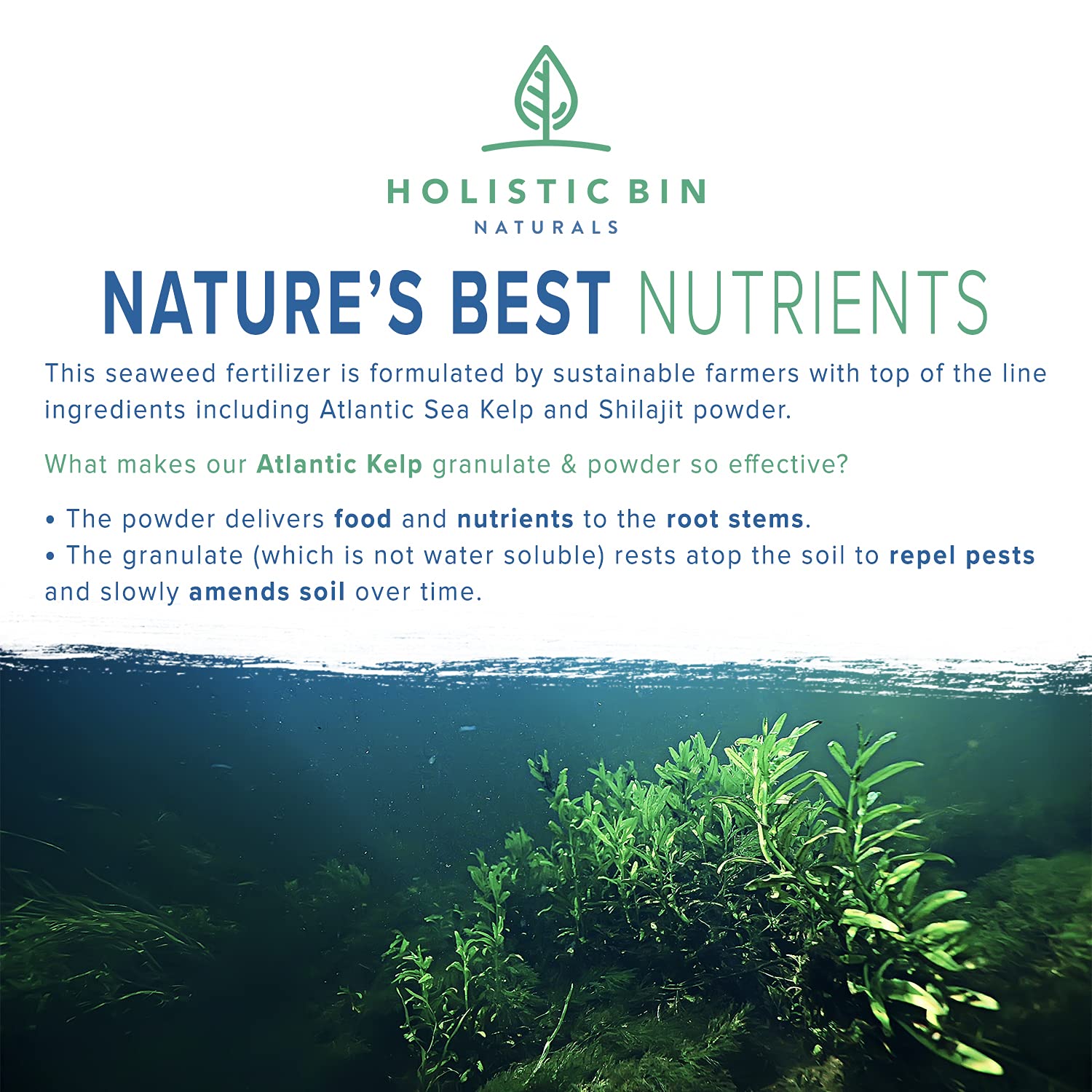 Holistic Bin veganic kelp fertilizer powder blended for natural plant nutrition and mineral-rich garden support