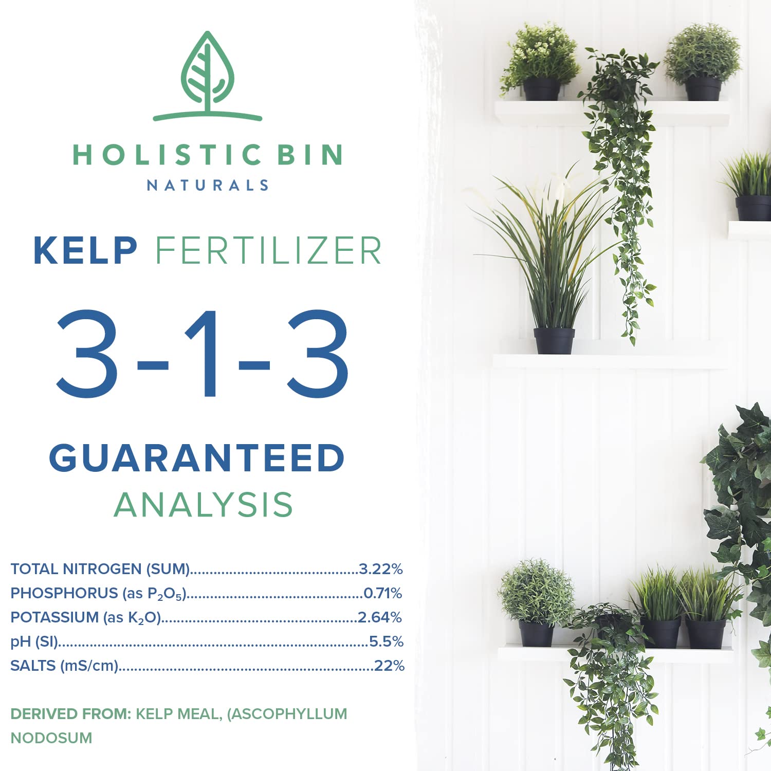 Wild-crafted kelp fertilizer with Atlantic seaweed, fulvic acid, and humic acid for everyday plant care